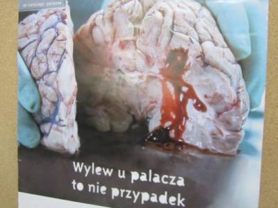 promocja_zdrowia_2011_5.jpg