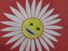 dzien_usmiechu_2011_7_t1.jpg