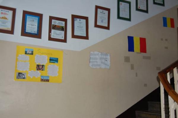 dzien-europy_2013_6.jpg
