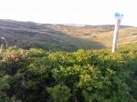 imuna_2013_1_t1.jpg