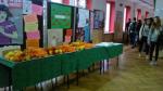 antynikotynowa_2014_16_t1.jpg