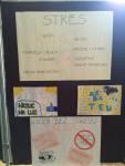 dzien_bez_stresu_2014-0046_t1.jpg