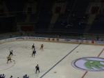 hokej_2015_4_t1.jpg
