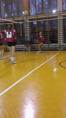 siatkowka_1_2015-02.jpg