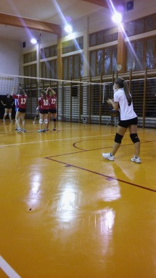 siatkowka_1_2015-07.jpg