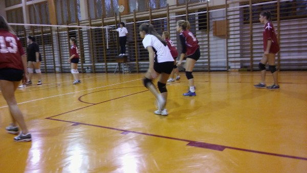 siatkowka_1_2015-09.jpg