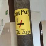 kampania6_t1.jpg
