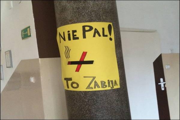 kampania6.jpg