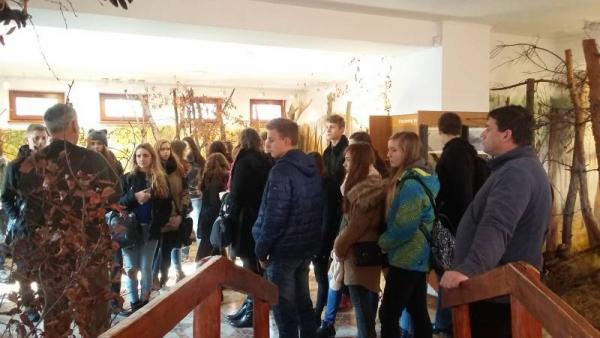 niepolomice_2015_7.jpg