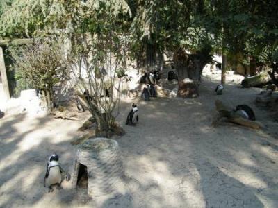 wymiana_095.jpg