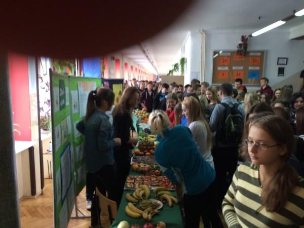 dzien_witamin_2016-14.jpg