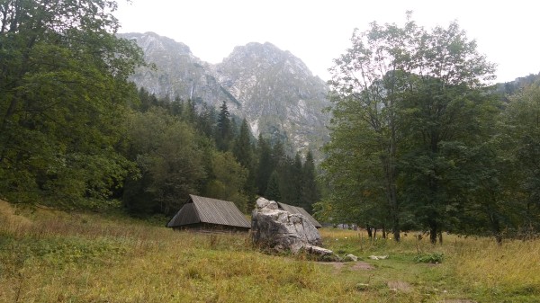 integracja_2017-08.jpg