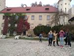 pieskowa_skala_93272_t1.jpg