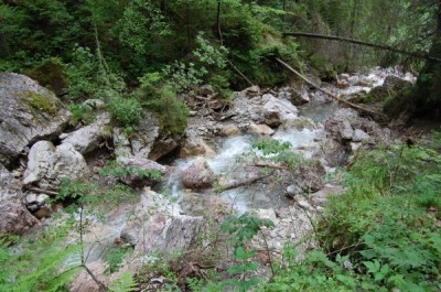 maniowy_2010-0007.jpg
