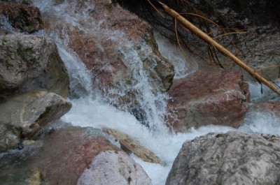 maniowy_2010-0008.jpg