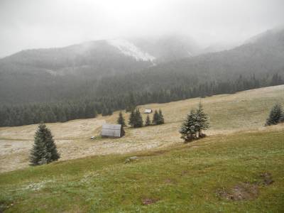 zakopane_2010_12.jpg
