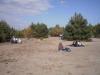 pustynia_2010_4_t1.jpg